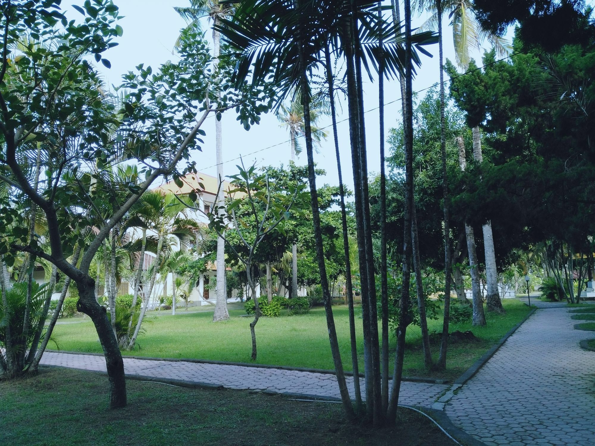 Mekar Jaya Bungalows 꾸따 외부 사진